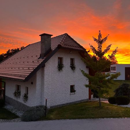 Holiday Home Dobrotin Vojnik Dış mekan fotoğraf