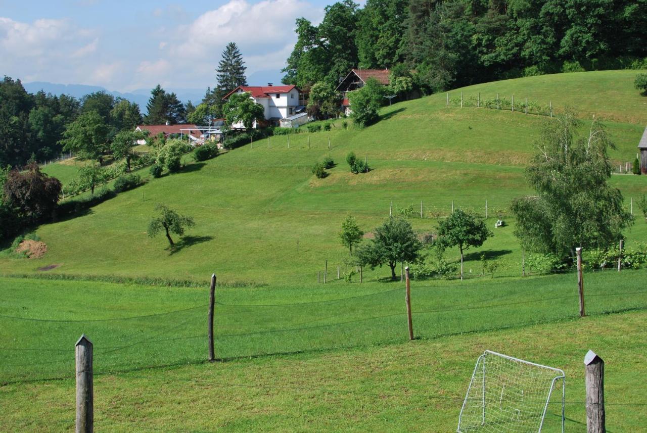 Holiday Home Dobrotin Vojnik Dış mekan fotoğraf