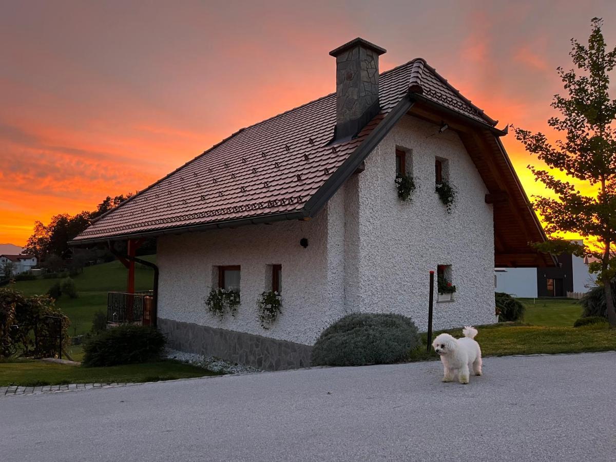 Holiday Home Dobrotin Vojnik Dış mekan fotoğraf