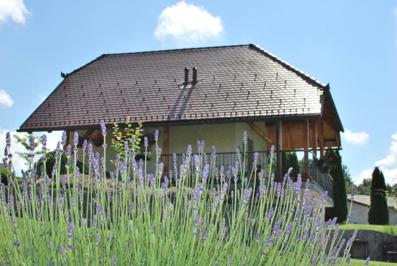 Holiday Home Dobrotin Vojnik Dış mekan fotoğraf
