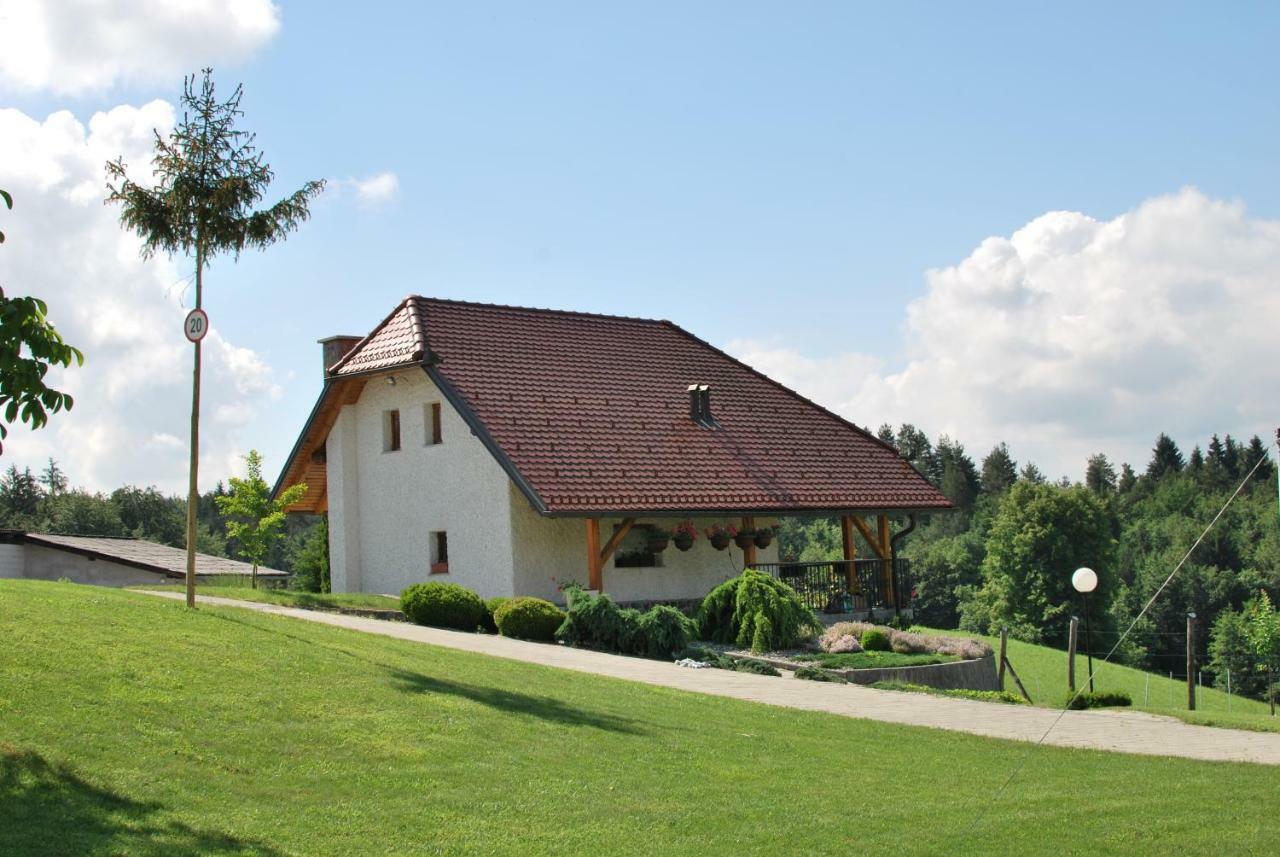 Holiday Home Dobrotin Vojnik Dış mekan fotoğraf