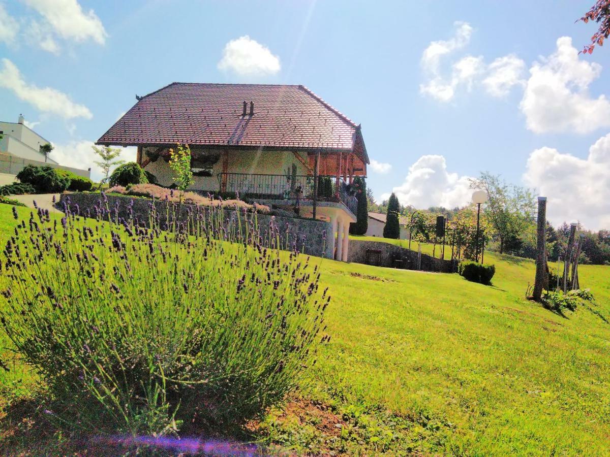 Holiday Home Dobrotin Vojnik Dış mekan fotoğraf
